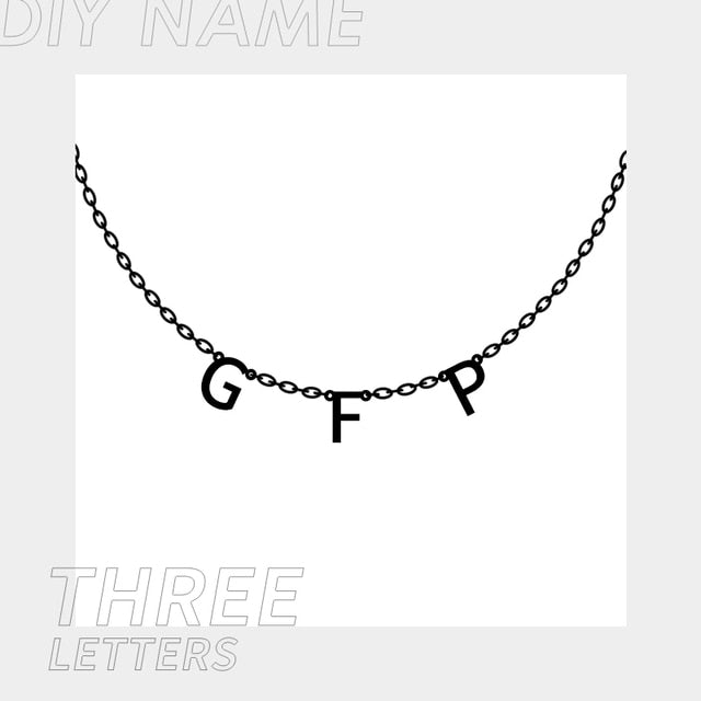 Customized Stainless Steel Name Necklace - Personalized Letter Choker Necklace/Pendant Nameplate